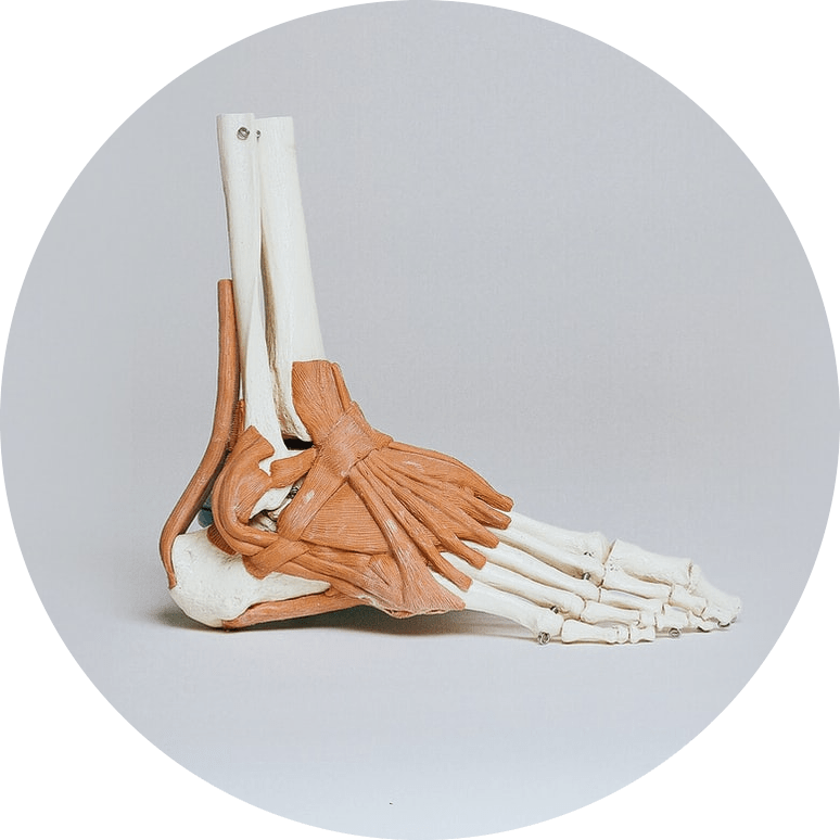 osteopathy-treats-ligament-injuries